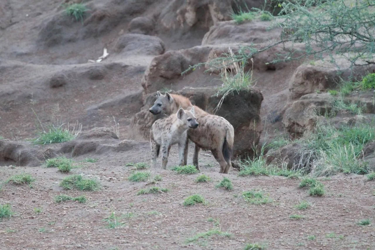 Awash Falls Lodge Korojole