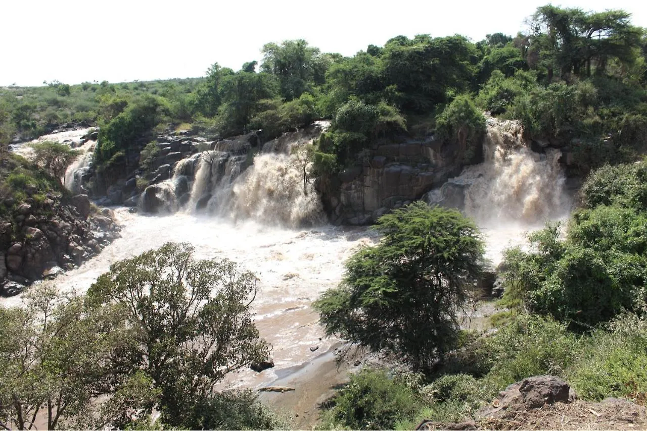 Awash Falls Lodge Korojole Ethiopia